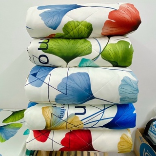 Bộ drap Thun hàn quốc mẫu mới 4 món(nệm dày 10-15cm)