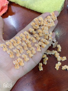Hoa bột nailcuc ruby