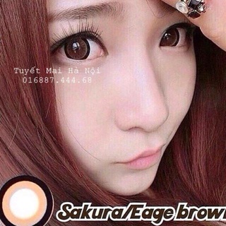 Lens vassen Sakura brown lạ