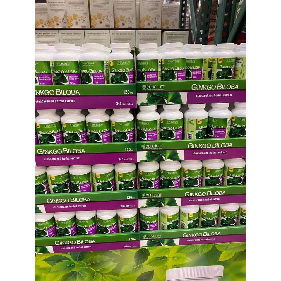 Bổ não GINKO BILOBA NHẬP MỸ 340V | BigBuy360 - bigbuy360.vn
