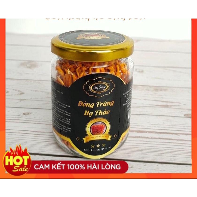 ĐÔNG TRÙNG HẠ THẢO HUY CƯƠNG - NUÔI CẤY TẠI LAI CHÂU VIỆT NAM - QUÀ BIẾU TẶNG CAO CẤP