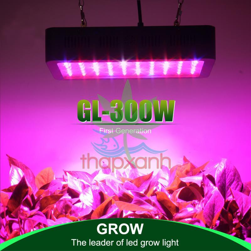 Đèn Led trồng cây, đèn trồng cây trong nhà, led grow light (GL-300W)