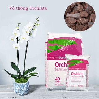 Vỏ Thông ORCHIATA - Size 9-12mm - Gói 1Kg - Giá Thể Trồng Cây