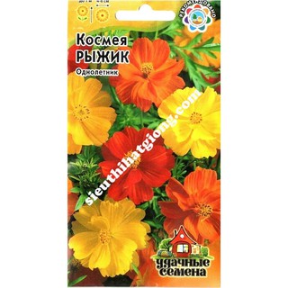 Hạt Giống Sao Nhái Vàng Cam (0,3g)