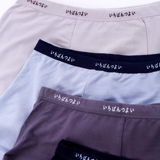 Combo 5 quần sịp đùi nhật
