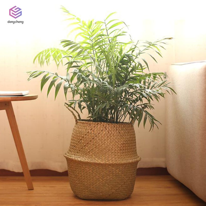 Giỏ đan sợi mây treo đựng hoa khô tiện dụng