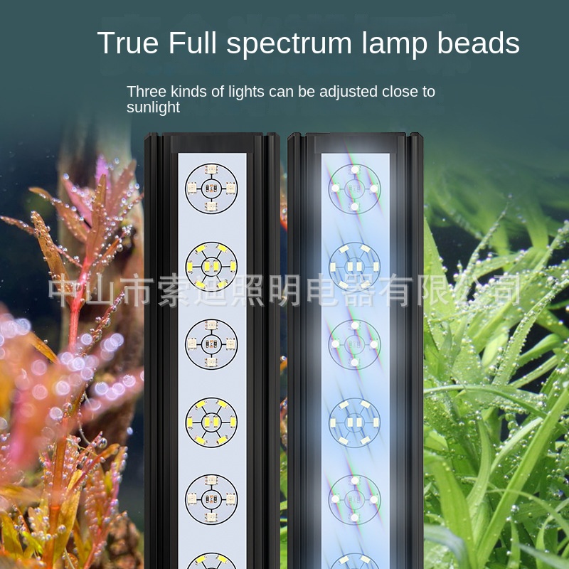 Đèn led Chống Thấm Nước Trang Trí Bể Cá