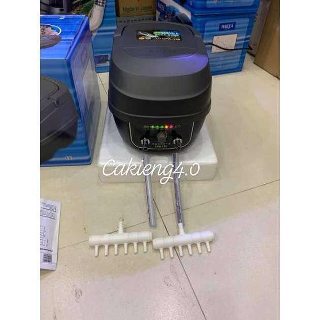 Máy sủi khí oxy tích điện Hailea CP- 120 dùng cho hồ cá koi