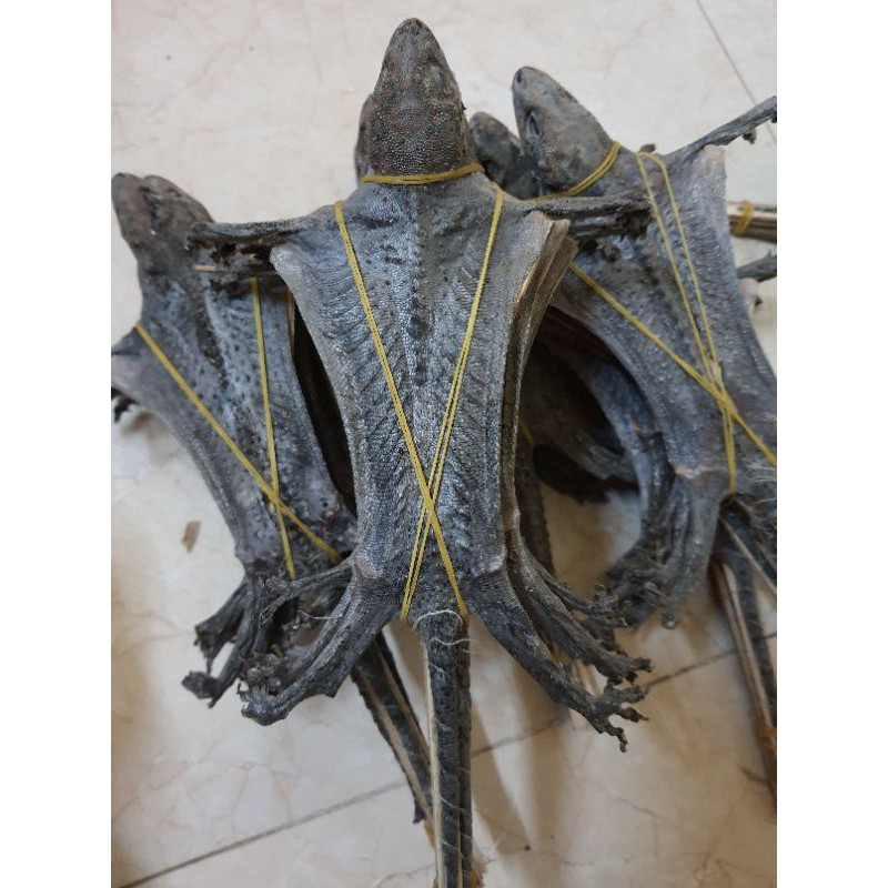 Tắc kè khô/1 con to | BigBuy360 - bigbuy360.vn