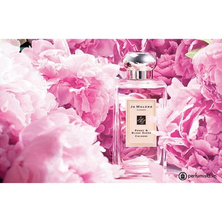 Nước hoa Jomalone Peony & Blush Suede Cologne