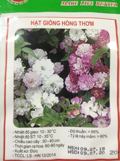 HẠT GIỐNG HOA HỒNG THƠM