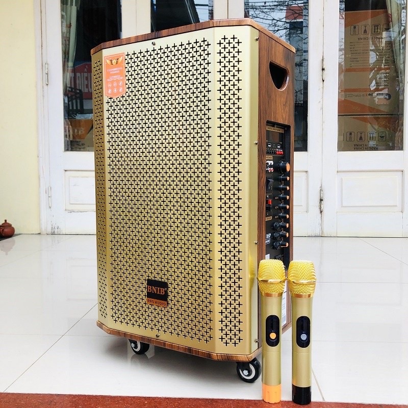 Loa Kéo Cao cấp BNIB 1206A Bass 30- Ba đường tiếng, Âm thanh siêu chất lượng