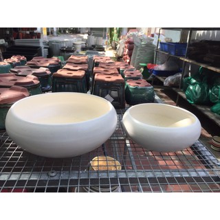 Bộ 2 chậu gốm sứ tráng men cao cấp trồng cây hình bèo