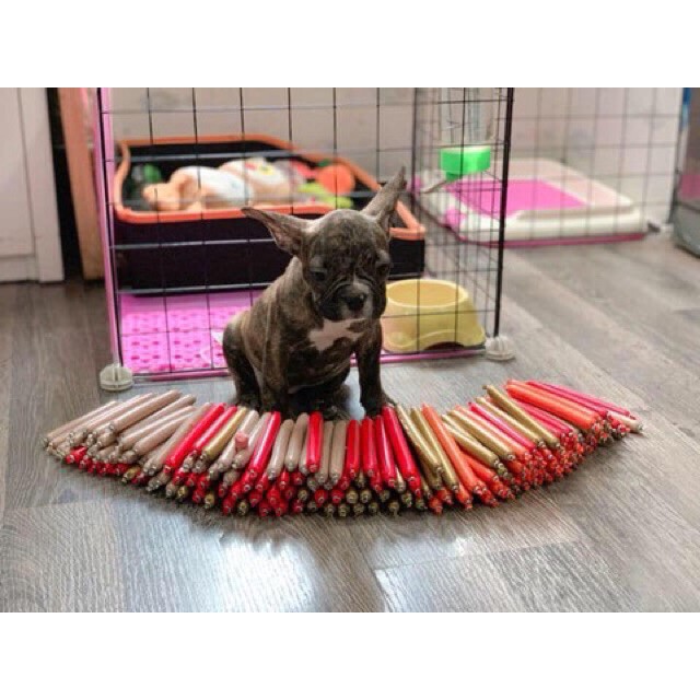 |RÊ VÔ ĐỊCH| XÚC XÍCH CHO THÚ CƯNG NGON MIỄN CHÊ 0