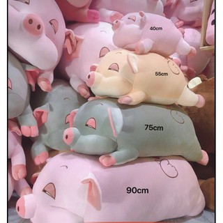 GẤU BÔNG HEO MẮT HÍ XỊN SÒ