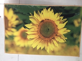 Thảm chân 3D