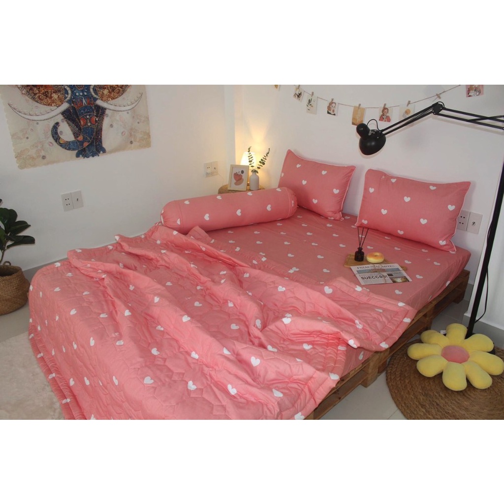 Bộ Drap Cotton Thắng Lợi Kèm Mền Chần Gòn { CHUẨN LOGO} chat để chọn màu nha các bạn | BigBuy360 - bigbuy360.vn