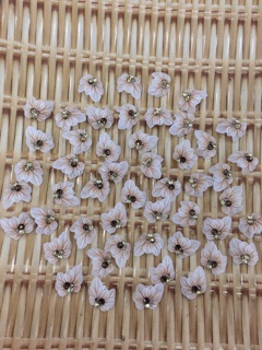Hoa bột nail ( hoa chân )