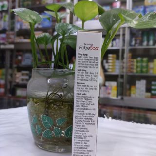 Fobescar gel mờ sẹo. 10g