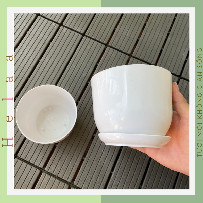 Chậu Nhựa Tròn Giả Sứ Có Dĩa Lót, Chậu Trồng Cây Mini Để Bàn, Sen Đá, Xương Rồng, Hoa, Trang Trí Bàn Làm Việc Văn Phòng