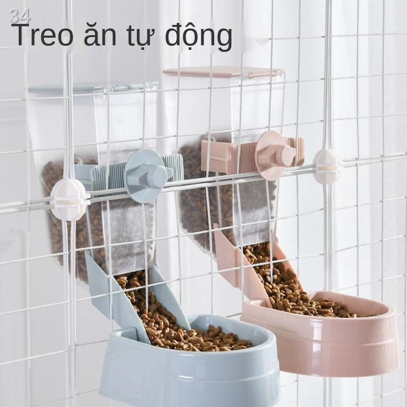 Cho chó ăn thức mèo, máy uống nước và đồ dùng nuôi tự động.TM