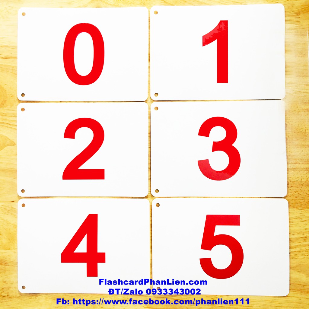 Flashcard kiêm sách bìa cứng to 15x21cm CHỮ SỐ 0-100 kèm dấu