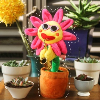 Chậu cây nhảy múa