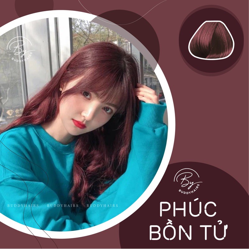 Thuốc nhuộm tóc Phúc bồn tử không tẩy buddyhairs