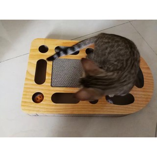 [order] Đồ cài móng mèo size vừa