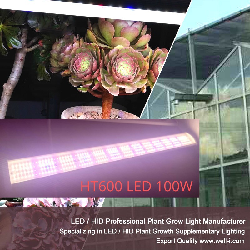 Đèn LED Trồng Cây Trong Nhà DELPONTING HT600 LED 100W Đèn Quang Hợp Cho Cây, Rau, Thuỷ Canh, Sen Đá,..