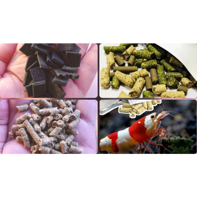 Thức Ăn TÉP CẢNH | Cám Tép - Giúp Tép Lên Màu Đẹp