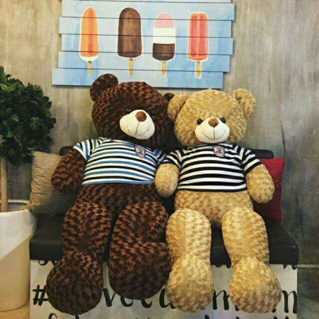 Gấu teddy khổ 1m4