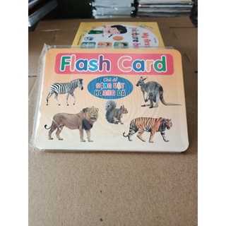 Thẻ học thông minh cỡ to - Flash card