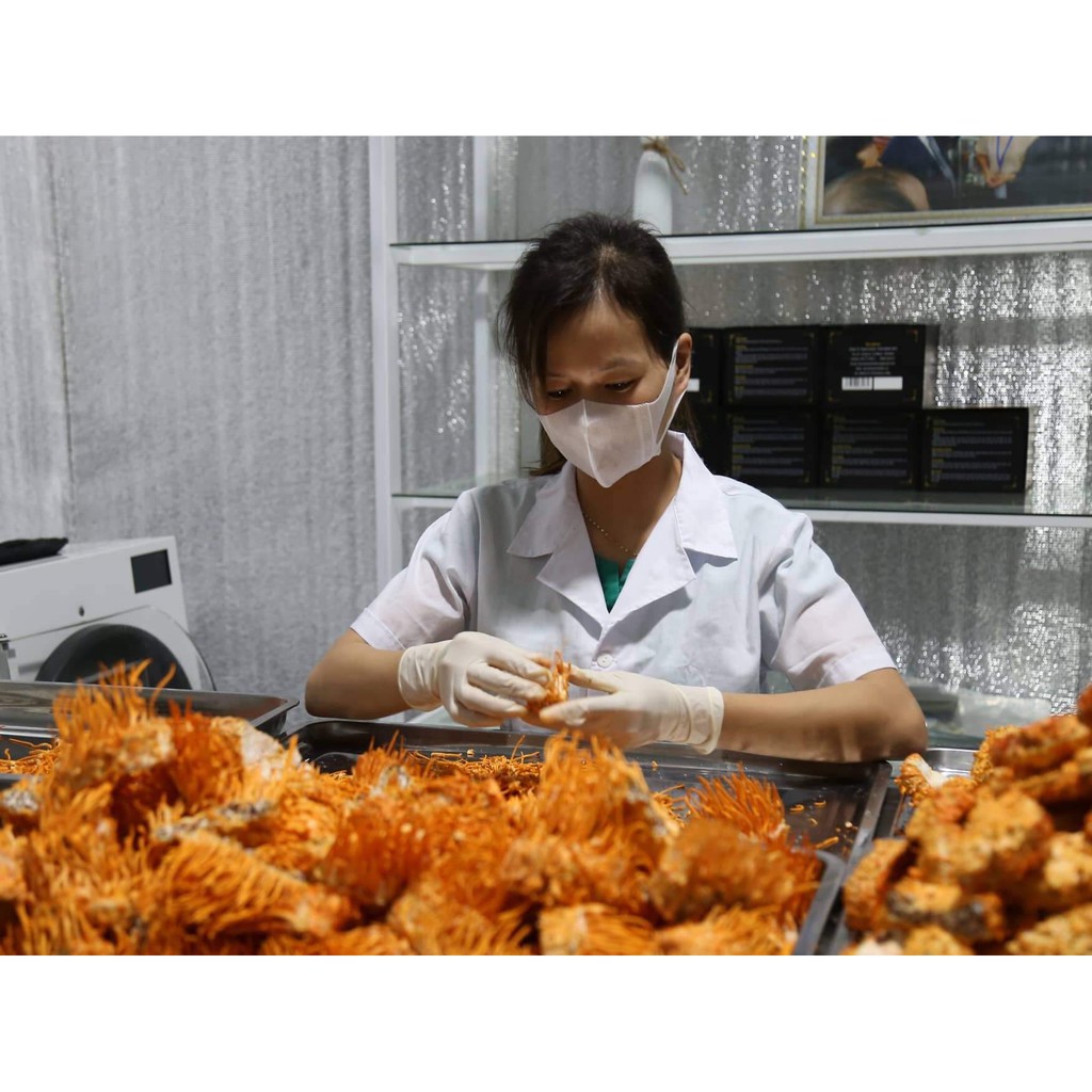 Chân đế khô Đông trùng hạ thảo Minh Đức 100% sản phẩm chính hãng