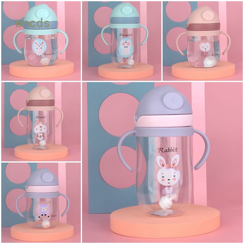 Bình Uống Nước Có Ống Hút Và Tay Cầm Cho Bé Mẫu Giáo 250/350ML
