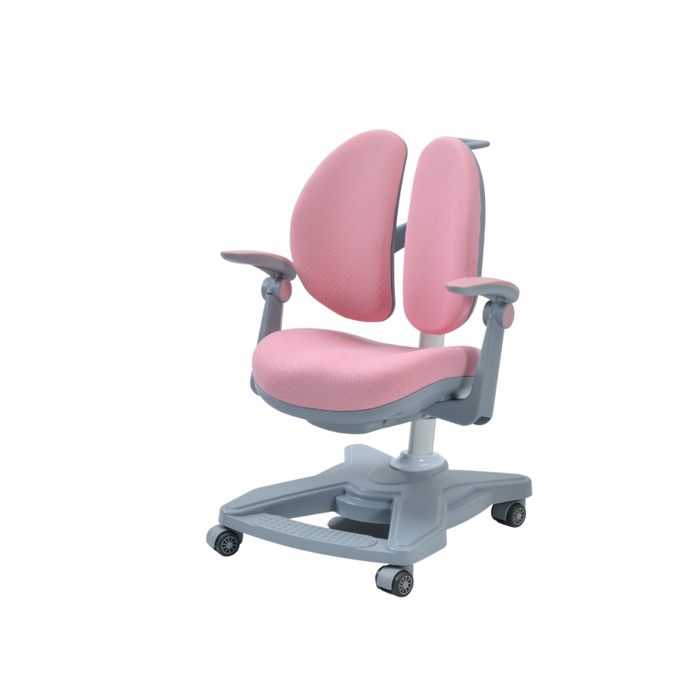 Bộ Bàn Ghế Chống Gù Chống Cận ZAC Ergonomic GJHH120T +Y001 Pink