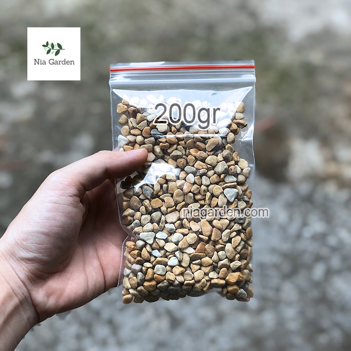 Sỏi vàng size 0.6 - 1 cm trang trí trải gốc chậu cây cảnh hồ cá terrarium Nia Garden N6