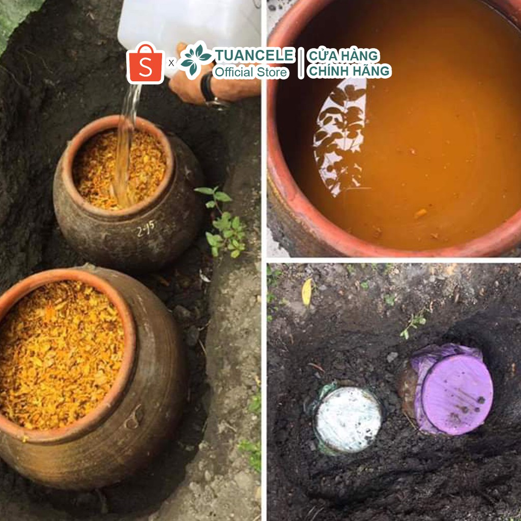 [Công Thức Cổ Truyền] Nước Cốt Gừng Nghệ Gấc Sử Dụng Toàn Thân (Body) Hạ Thổ 100 Ngày | BigBuy360 - bigbuy360.vn