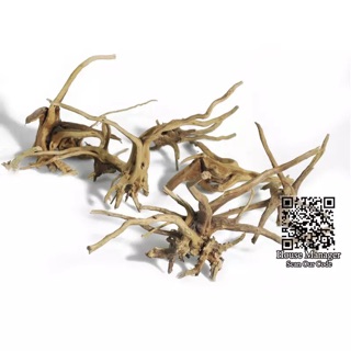 Lũa thô trang trí cho bể cá thủy sinh