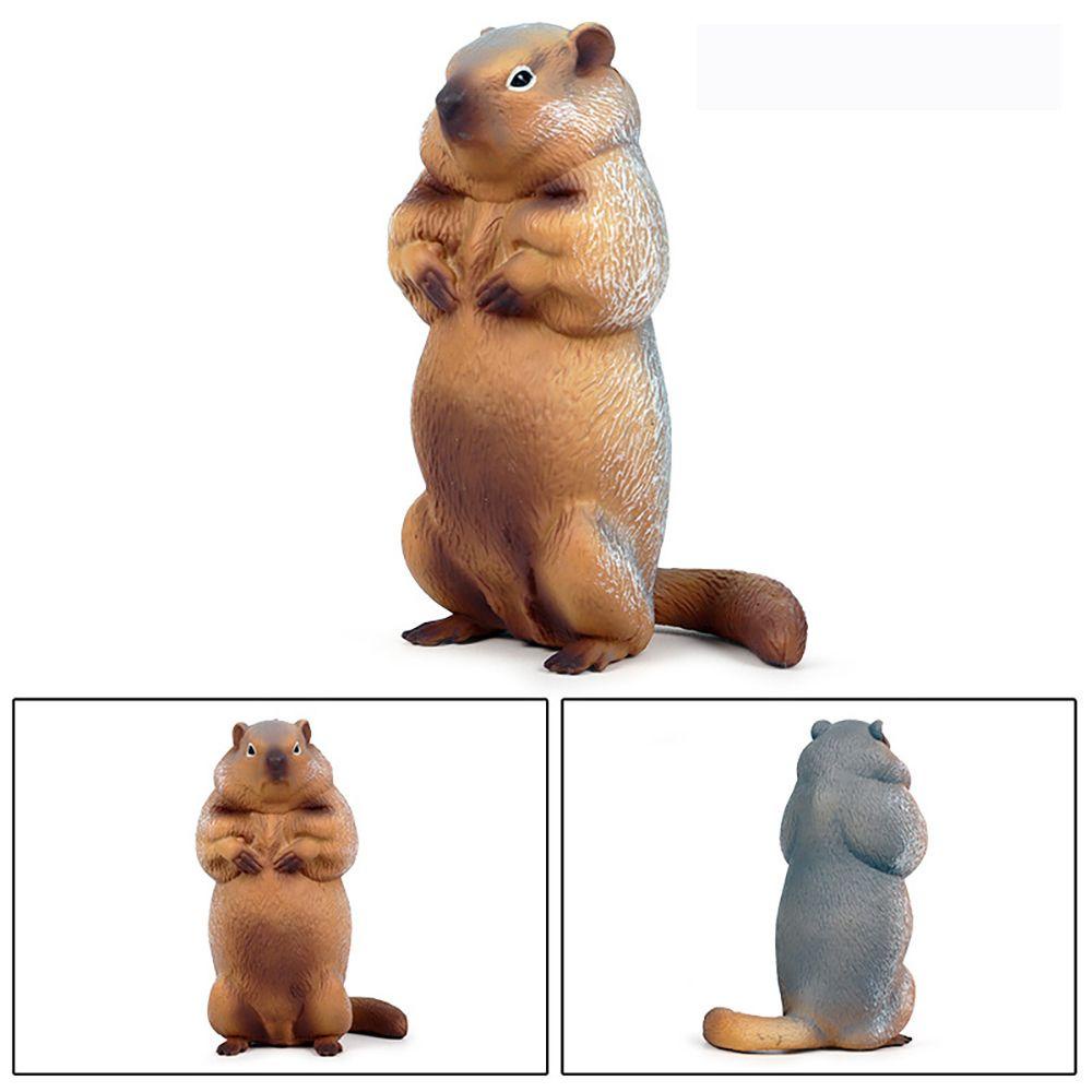 Mô Hình Marmot Sống Động Như Thật Cho Bé