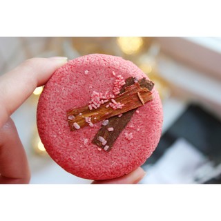 SHAMPOO BAR LUSH - NEW