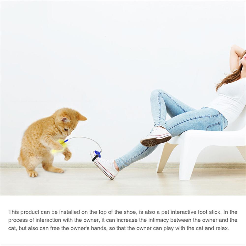 Gậy Trêu Mèo Nhiều Màu Sắc Vui Nhộn B2K2