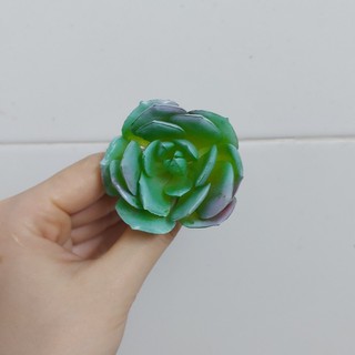 Mua Cây hoa nhựa: mẫu sen đá Lola xanh