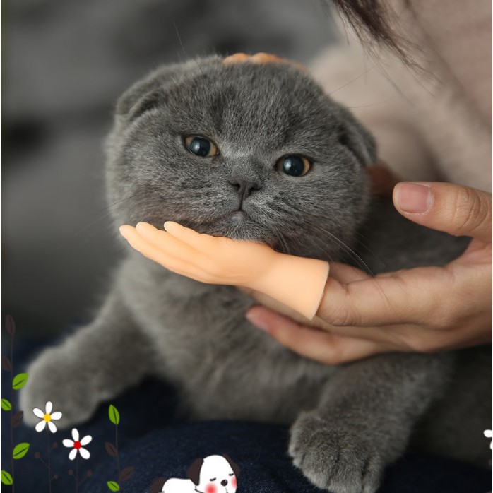 Con Rối Ngón Tay Hình Mèo Vui Nhộn