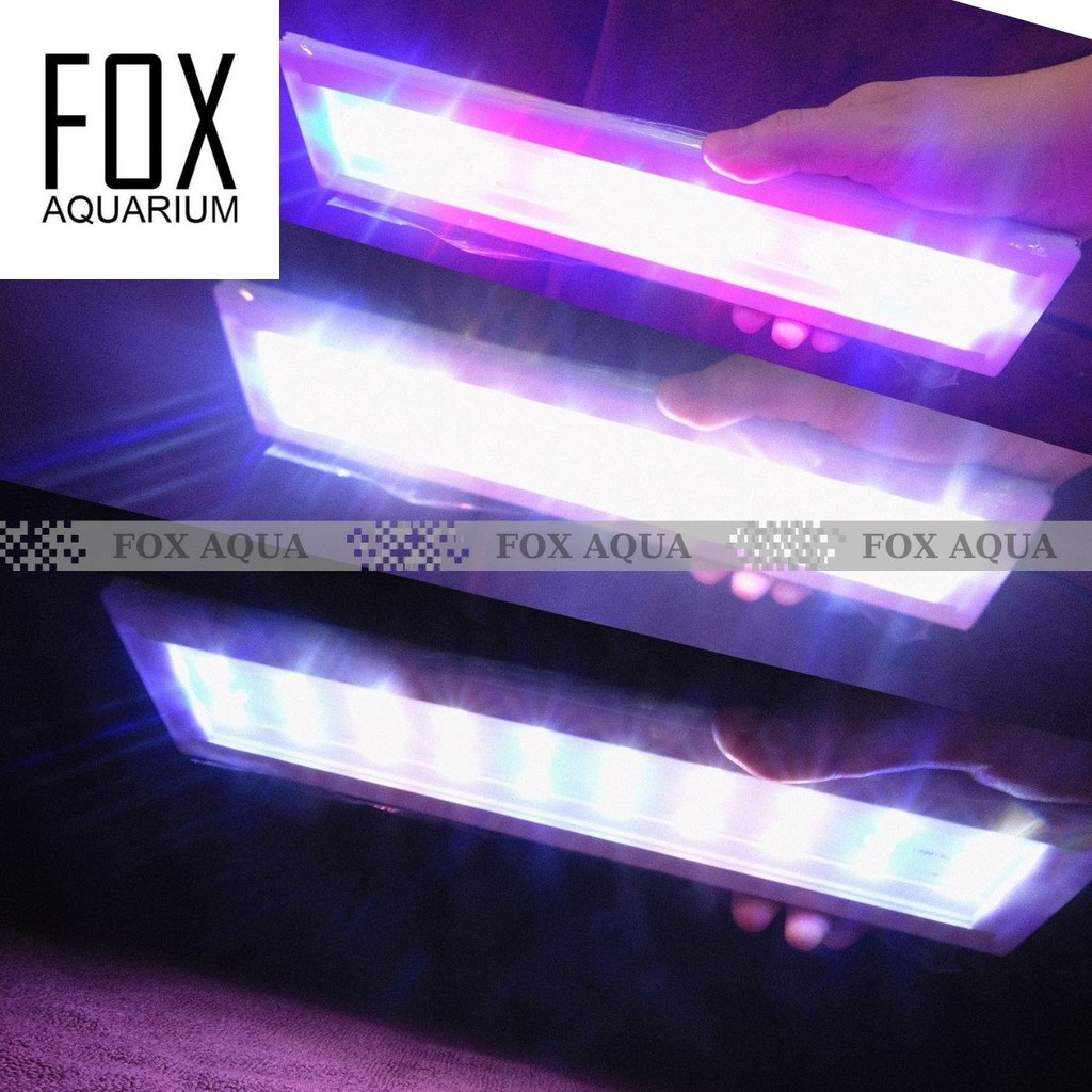 Đèn Led 3 Chế Độ Màu Gác Thành Bể Cá, Bể Thủy Sinh 30cm, 40cm, 50cm