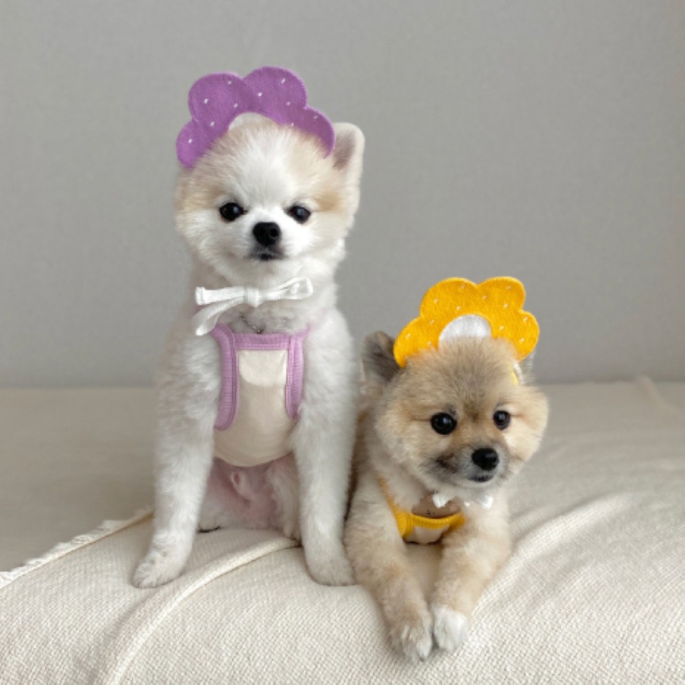 🎀 Yếm Đeo Cổ Chó Mèo / Khăn Yếm Quàng Cổ Chống Rơi Vãi Thức Ăn Hàn Quốc