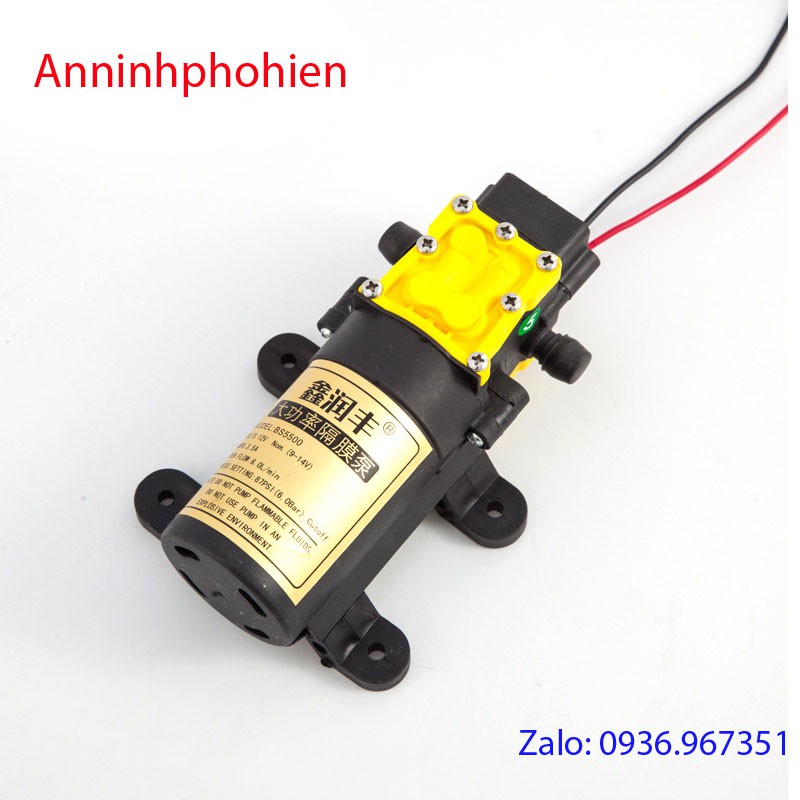 Máy bơm nước 12V