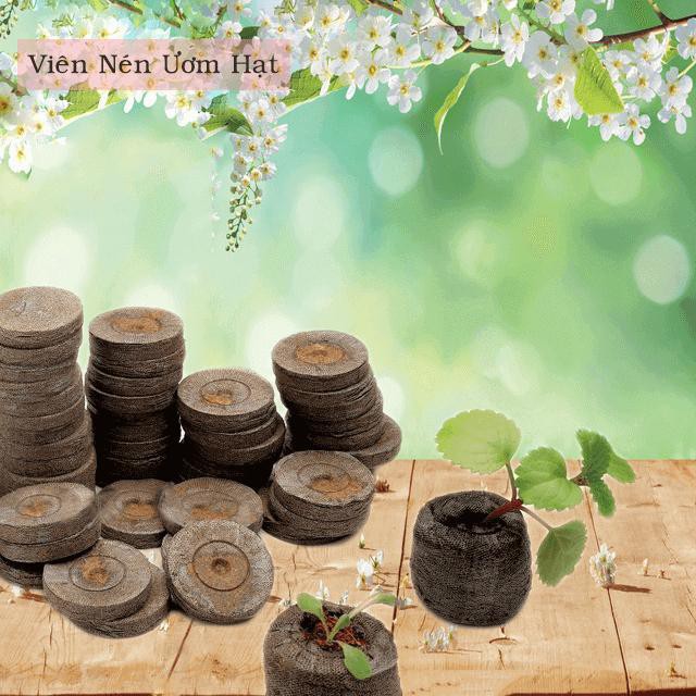 Combo 50 viên nén xơ dừa ươm cây, giam cành, ươm keiki