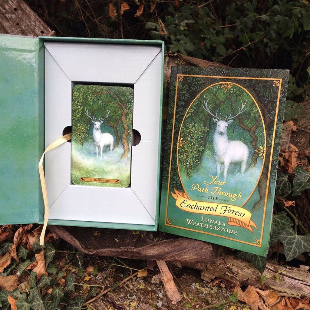 Bài Forest of Enchantment Tarot