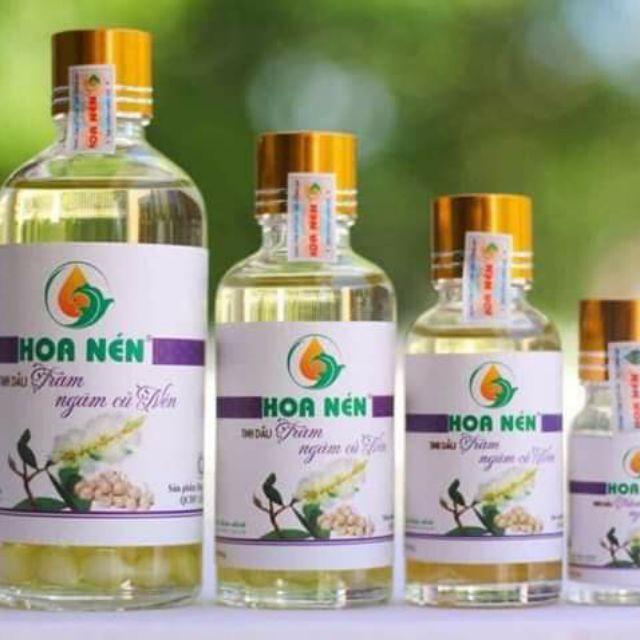 Tinh dầu tràm hoa nén 50ml
